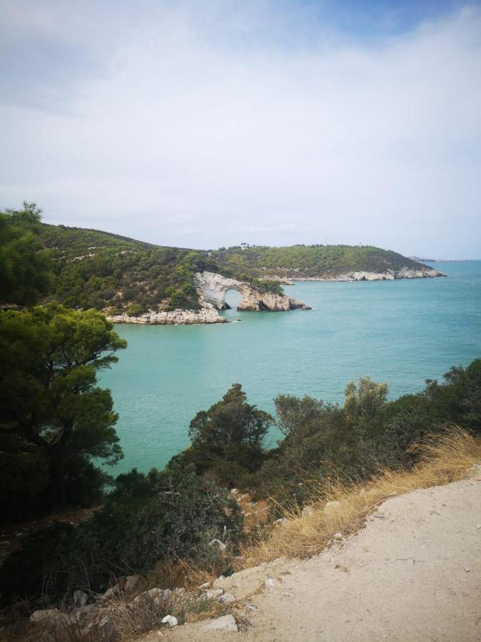 Vieste Holiday Екстериор снимка